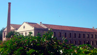 Museu de la pell